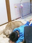 兄弟?
