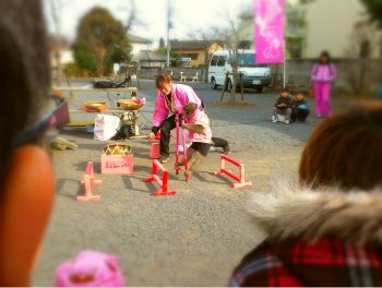 2013-01-06 13.07.24.jpg