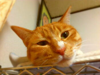2013-01-22 07.47.25.jpg