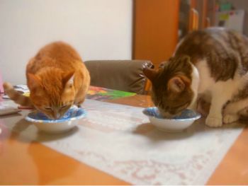 2013-04-09 22.09.39.jpg
