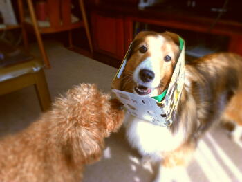 2013-04-27 14.00.31-2.jpg
