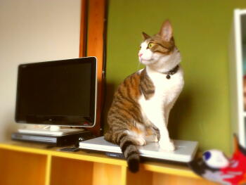 2013-05-16 16.36.46.jpg