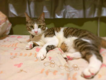 2013-06-12 22.14.08.jpg