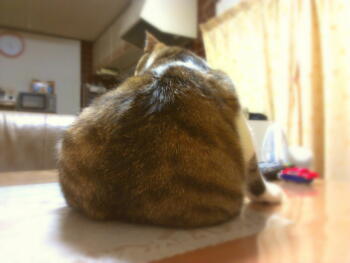2013-07-04 20.28.03.jpg