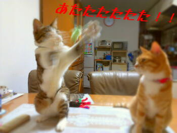 2013-08-19 20.30.04.jpg