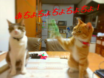 2013-08-19 20.30.41.jpg