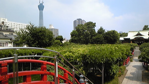 20120609-01.jpg
