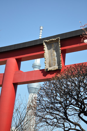 20120609-02.jpg