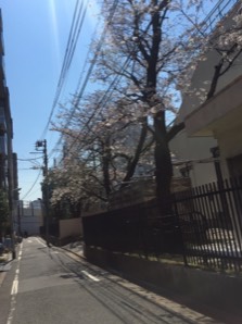 IMG_0161.PNG