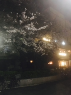 image1.jpeg