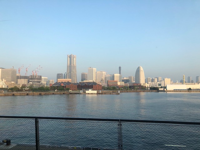 image1.jpeg