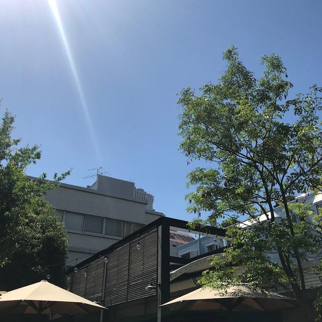 image1.jpeg