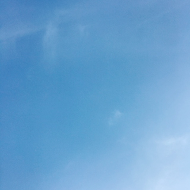 image1.jpeg