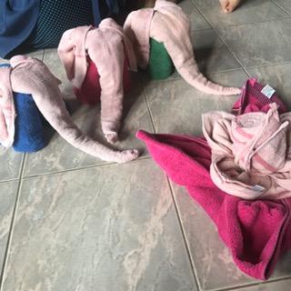 image1.JPG