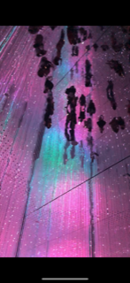 image1.png
