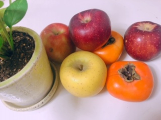 image1.jpeg