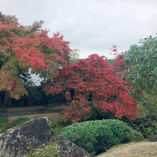 image1.JPG