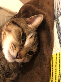 image1.jpeg