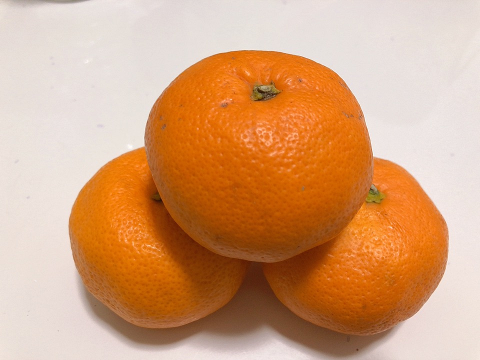 image1.jpeg