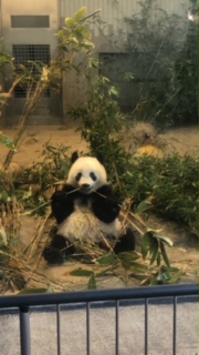 image1.jpeg