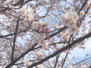image1.jpeg