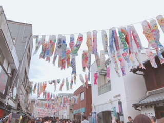 image1.jpeg
