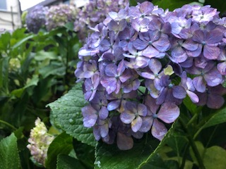 image1.jpeg