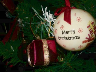 image1.jpeg