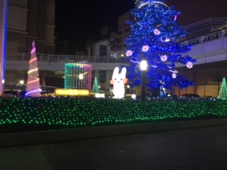 image1.JPG