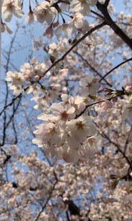 image0.jpeg