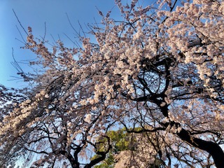 image0.jpeg