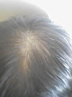 2008-03-29_11-54_0001.jpg