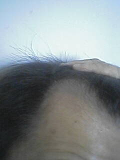 2008-03-29_11-54.jpg