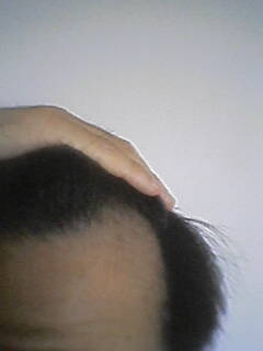 2008-04-12_11-32.jpg