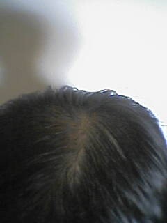 2008-04-26_10-45_0001.jpg