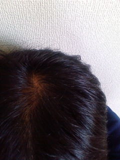 20110328132840.jpg