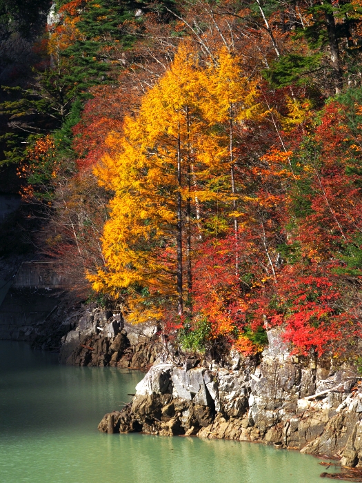 PA311113.jpg