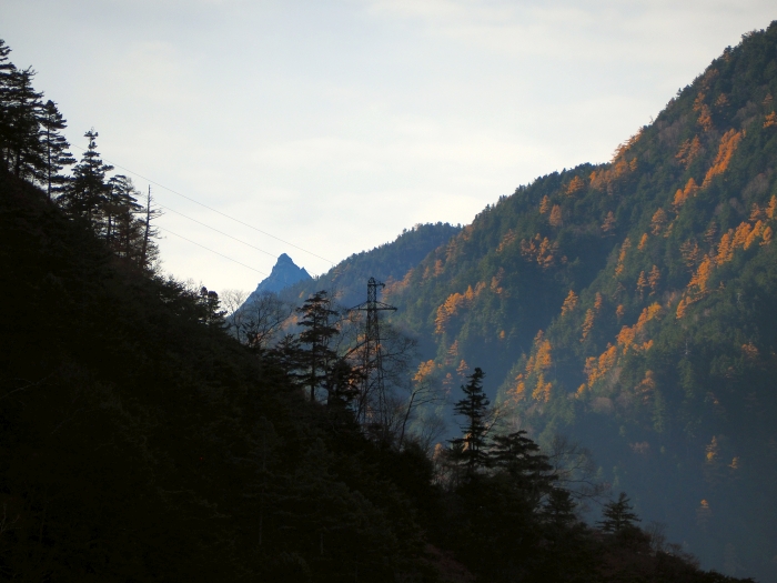 PA311117.jpg