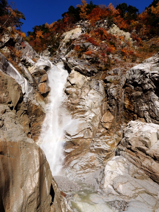 PA311144.jpg