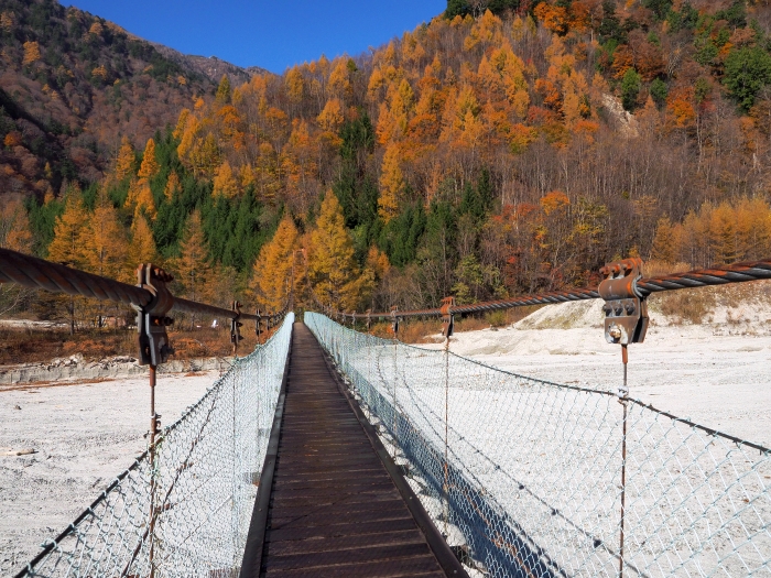 PA311178.jpg