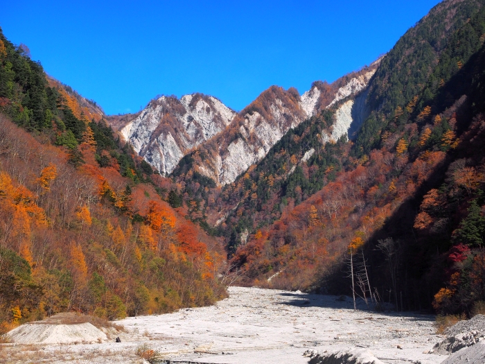 PA311179.jpg