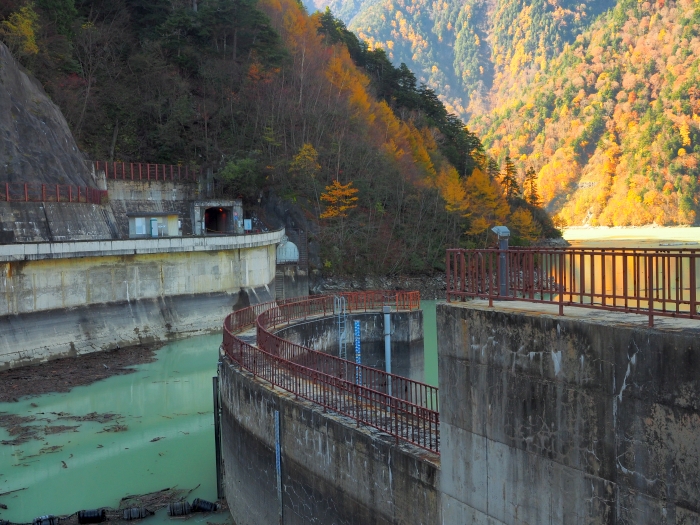 PA311193.jpg