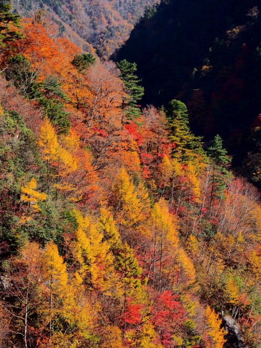 PA311200.jpg