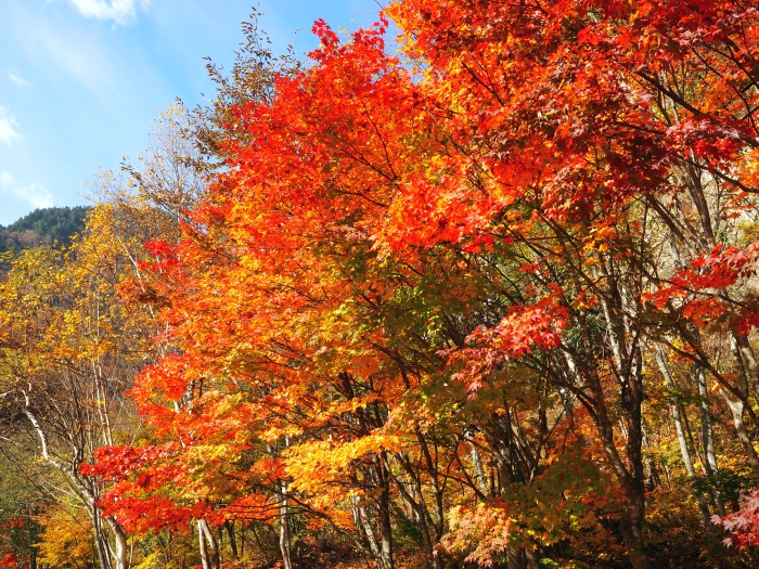 PA311257.jpg