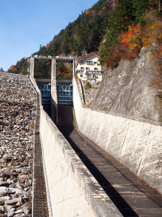 PA311266.jpg