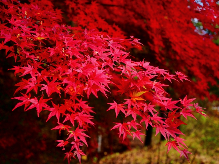 PA311275.jpg