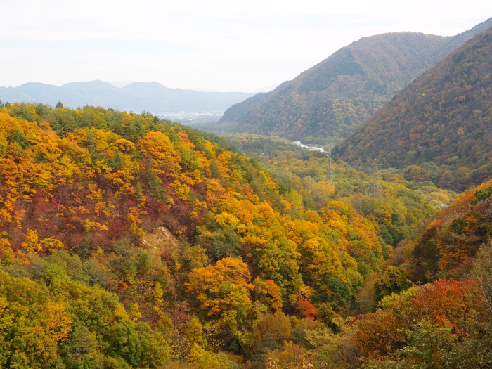PA311286.jpg
