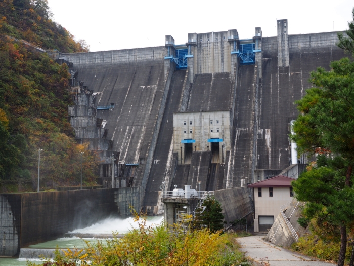 PA311290.jpg
