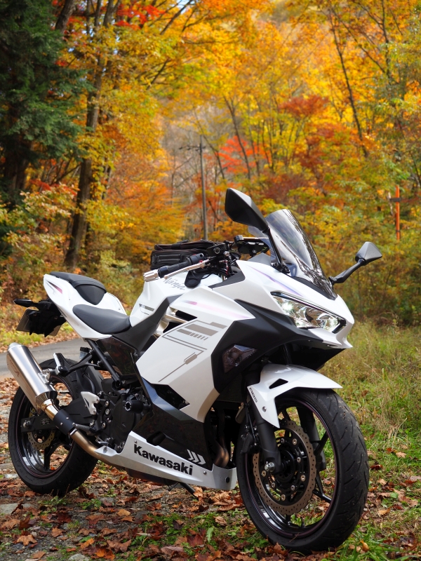 総括2023！新しい相棒【Ninja 400】と過ごした一年！ | 日本一周