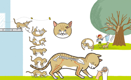 neko_blog.jpg